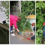 Mitbewohner:innen des ÖLZ beim Gartentag