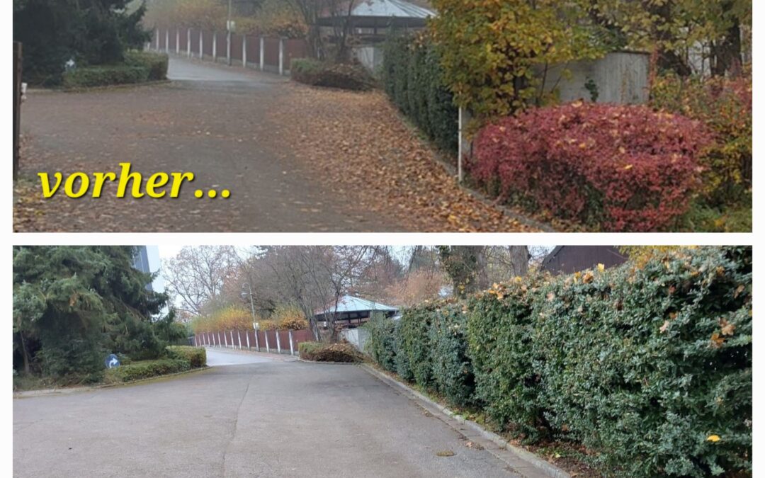 Zwischen Nebel und Honigtorte: Gartentag im ÖLZ
